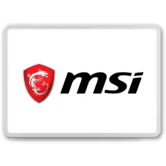 MSI